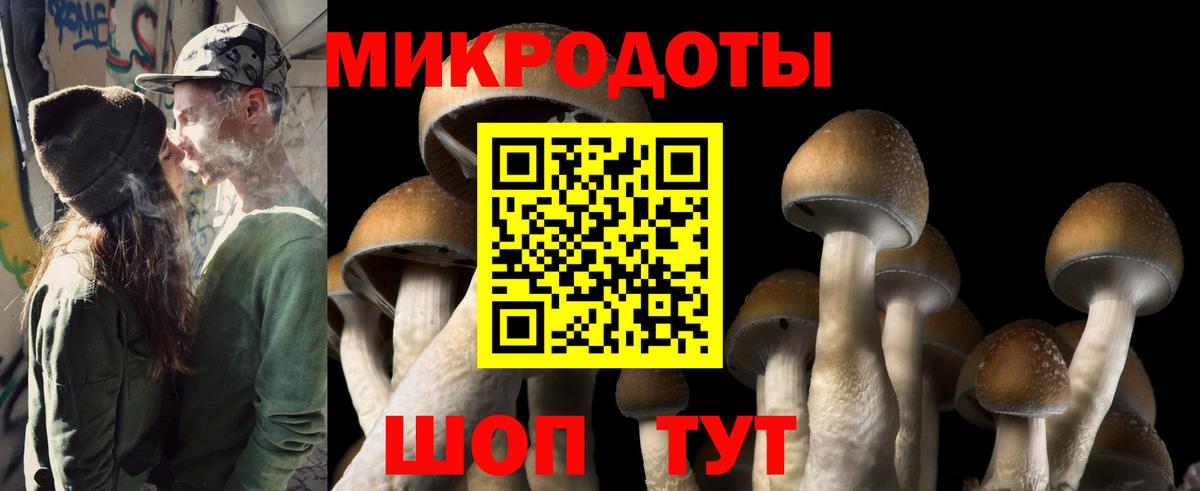 Галлюциногенные грибы ЛСД  Вход с VPN  Чистополь 